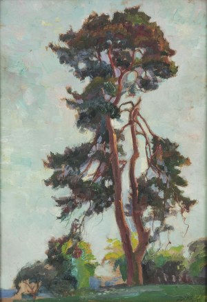 Stanisław PACIOREK (1889-1952), Sosna, 1929