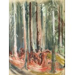 Adam BUNSCH (1896-1969), Gęstwina lasu, 1948