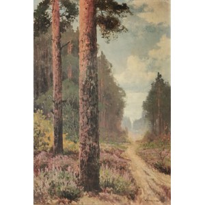 Wiktor KORECKI (1890-1980), Forest road with heather