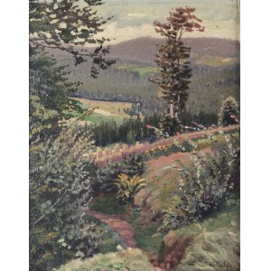 Jan WAŁACH (1884-1979), Podgórze-Landschaft