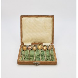 Set of 6 spoons in a case