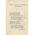 W płomieniach. Zbiorek wierszy, poświęconych ideologji służby polskiego strażactwa ochotniczego oraz przejawom życia zespołów strażackich [1932]