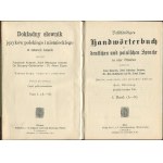 Dokładny słownik języków polskiego i niemieckiego w czterech tomach / Vollstandiges Handworterbuch der deutschen und polnischen Sprache in vier Banden [Wiedeń 1911, 1913]