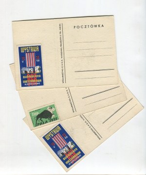 Zestaw 3 pocztówek. Harcerze w towarzystwie żubra [ok. 1935] [Jubileuszowy Zlot w Spale]