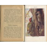 BUCKLEY Arabella - Życie w lesie i w polu [1919]