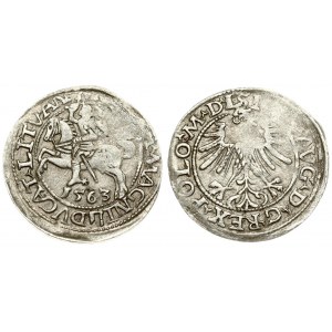 Lithuania 1/2 Grosz 1563 Vilnius. Sigismund II Augustus (1545-1572). Obverse Lettering: SIGIS AVG REX PO MAG DVX L...