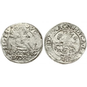 Lithuania 1 Grosz 1568 Tykocin. Sigismund II Augustus (1545-1572). Obverse: Crowned bust facing right. Reverse...