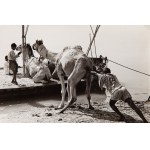Zestaw 42 czarno-białych fotografii z podróży do Indii