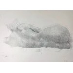 Hanna Stanisławska (ur. 1999), Akt, 2021