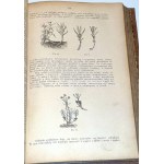JANKOWSKI- KWIATY NASZYCH OGRODÓW 1880r. ilustracje
