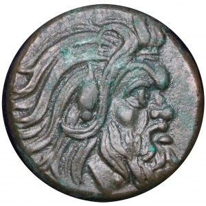 Grecja Krym Pantikapea brąz 310-303 p.n.e.