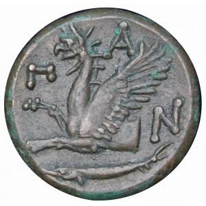 Grecja Krym Pantikapea brąz 310-303 p.n.e.