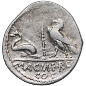 Pompejusz Wielki AR-denar 48 r.p.n.e. 