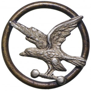 Odznaka organizacyjna Sokoła 