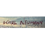Karl Neumann, Wzburzone fale