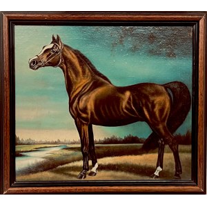 MN, Cheval