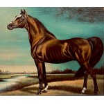 MN, Cheval