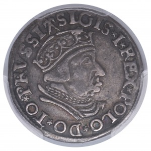 Zygmunt I Stary, trojak 1537 Gdańsk - rzadsza odmiana 