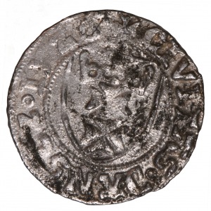 Sigismund I the Old, szeląg ( penny ) 1526 Gdansk - very rare 