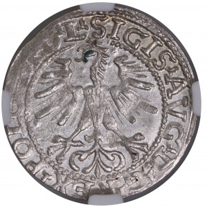 Sigismund II August 1/2 gr 1564 L/LITV NGC MS 61 