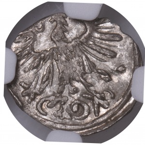 Zygmunt II August, denar 1557 Wilno