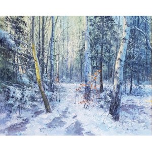 Małgorzata Rawicka, Zimowy las