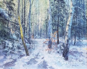 Małgorzata Rawicka, Zimowy las