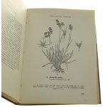 Kazimierz Kahl, Siano. Opis botaniczny i wartość użytkowa