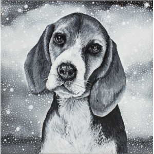 Marta Julia Piórko, Beagle, 2017