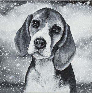 Marta Julia Piórko, Beagle, 2017