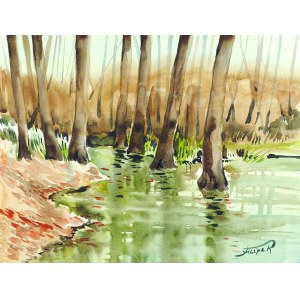 JAROSŁAW FILIPEK, Long Swamp In Kampinos, 2021