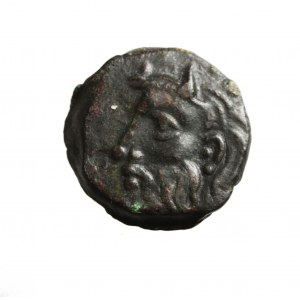 TRACJA-OLBIA (kolonia MILETU nad M. Czarnym) AE 19 IV/III p.n.e.