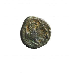 TRACJA-PANTIKAPAION (kolonia Miletu nad cieśniną Kerczeńską) AE 14 IV p.n.e. (dichalk)