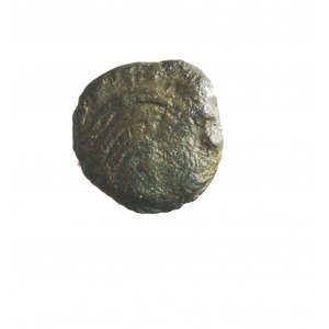 TRACJA-PANTIKAPAION (kolonia Miletu nad cieśniną Kerczeńską) AE 14 IV p.n.e. (dichalk)