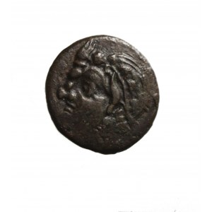 TRACJA-PANTIKAPAION (kolonia Miletu nad cieśniną Kerczeńską) AE 19 III p.n.e. (tetrachalk)
