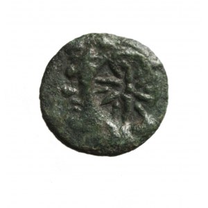 TRACJA-PANTIKAPAION (kolonia Miletu nad cieśniną Kerczeńską) AE 19 III p.n.e. (tetrachalk)