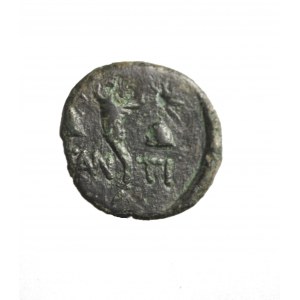 TRACJA-PANTIKAPAION (kolonia Miletu nad cieśniną Kerczeńską) AE 17 II p.n.e. (tetrachalk)