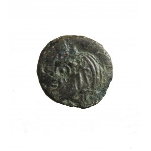 TRACJA-PANTIKAPAION (kolonia Miletu nad cieśniną Kerczeńską) AE 17 II p.n.e. (tetrachalk)