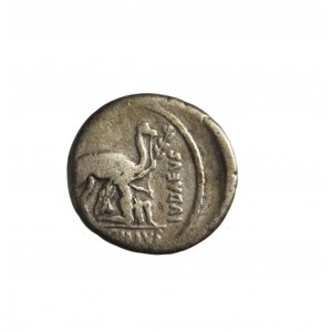 RZYM-REPUBLIKA - A.PLAUTIUS (55 p.n.e.) AR-denar