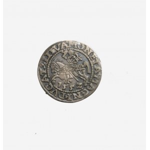 ZYGMUNT II AUGUST (1548-1572), półgrosz koronny 155Z, m. Wilno