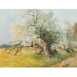 Jerzy MISZALSKI