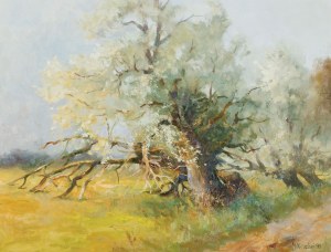 Jerzy MISZALSKI