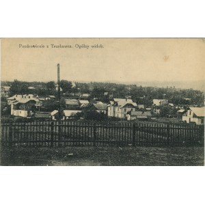 Truskawiec - Ogólny widok, ok. 1920