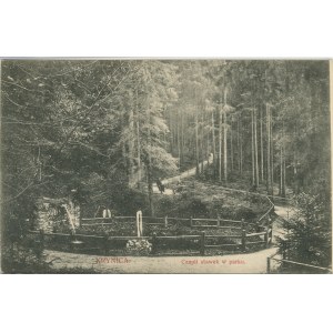 Krynica - Czapli stawek w parku, 1908
