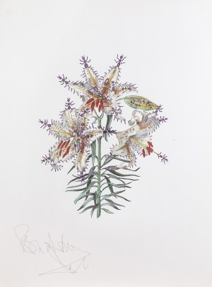 Salvador Dali, LILIUM AURATIUM FORMICANS, 1972