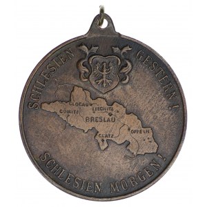 Medal Śląsk wczoraj, Śląsk jutro