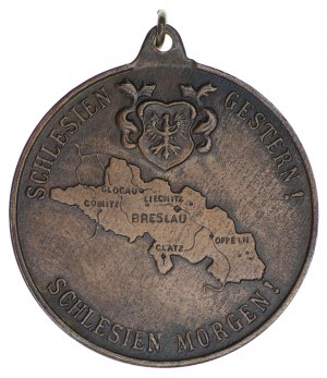 Medal Śląsk wczoraj, Śląsk jutro