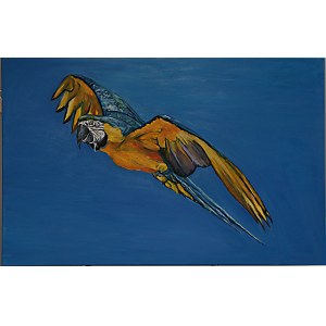 Ilona Foryś, Parrot