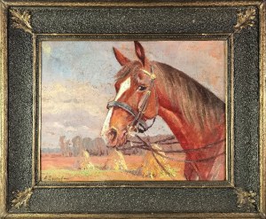 Andrzej ŻYWICKI (1928-1970), Głowa konia na tle pejzażu wiejskiego