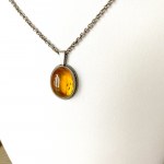 Incredible Amber Pendant shaped like a Drop